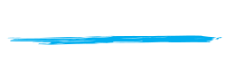 Shark Island Institute