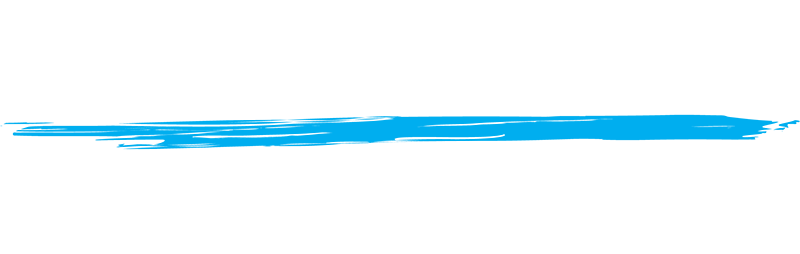 Shark Island Institute